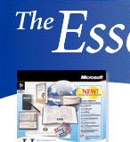 The Essential Site